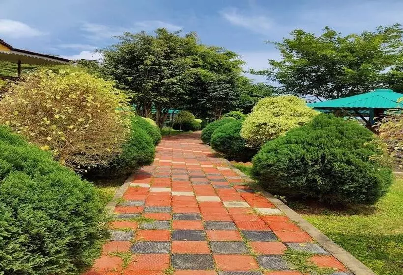 ホテル Mistywood Resort And Restaurant