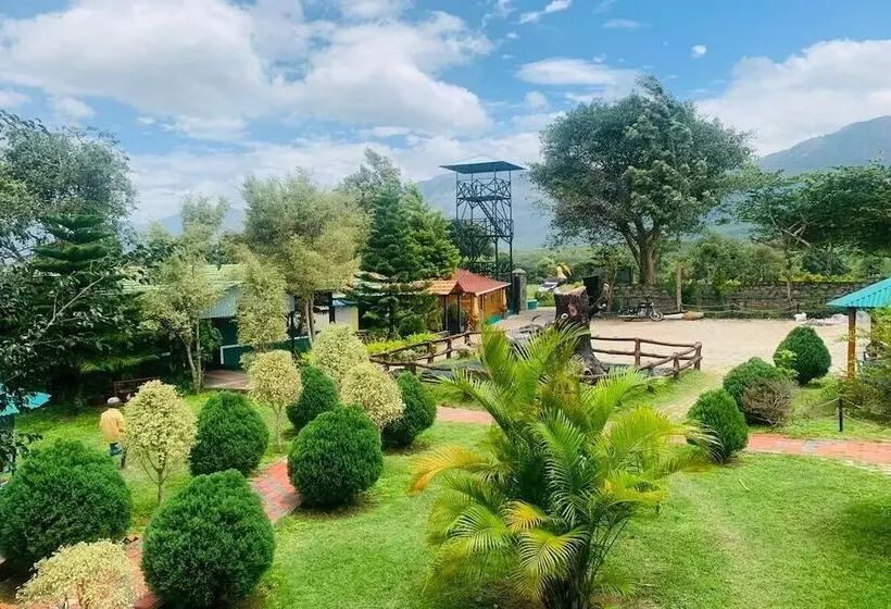 ホテル Mistywood Resort And Restaurant