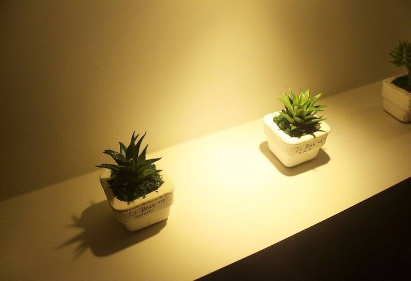 فندق على الطريق Daegu Dongseong Ro Cozaza