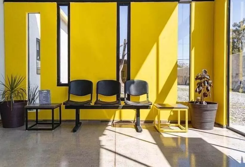 Check Inn Hostal Aeropuerto Gdl   Hostel