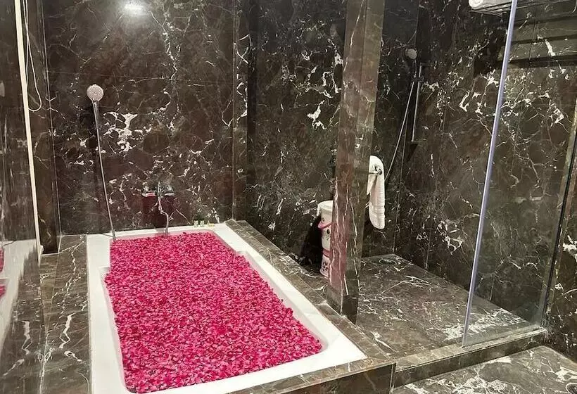 ホテル Classic Sapphire Ananta Bundi