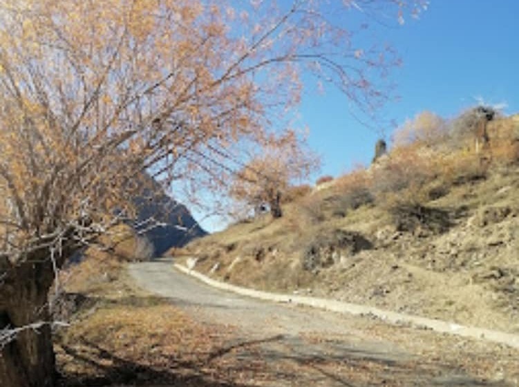 Hotel Himalayaa Retreat