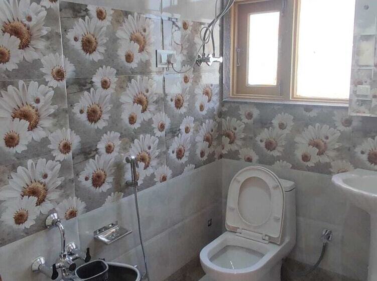 Отель Silver Inn