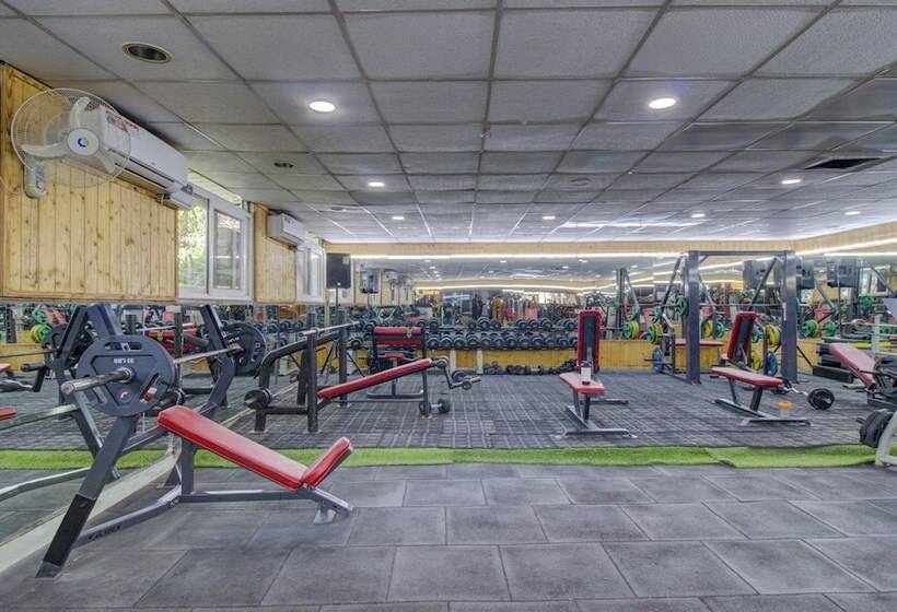 Hotelli Treebo Trend Maira