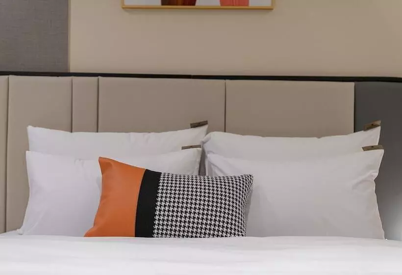 Hound Hotel Turtle