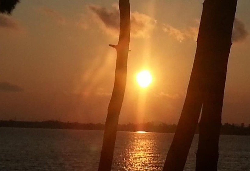 Muan Tommeori Resort Pension