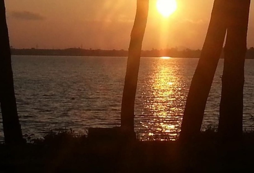 Muan Tommeori Resort Pension