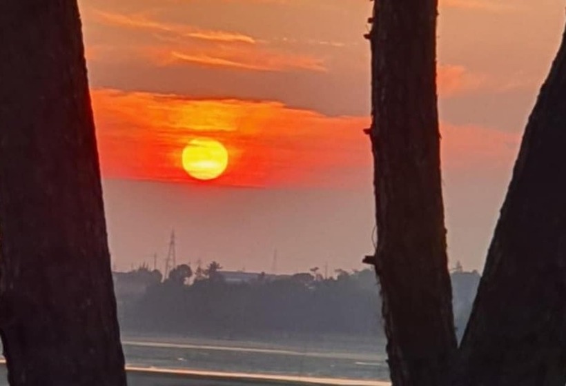 Muan Tommeori Resort Pension