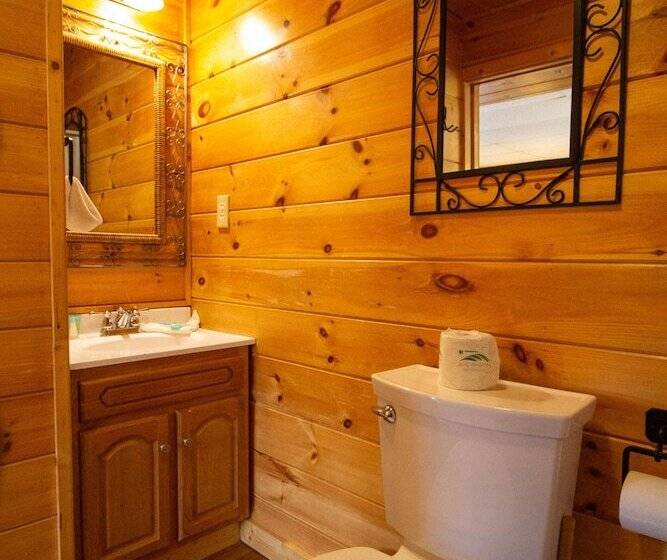 4br Mountain View Cabin