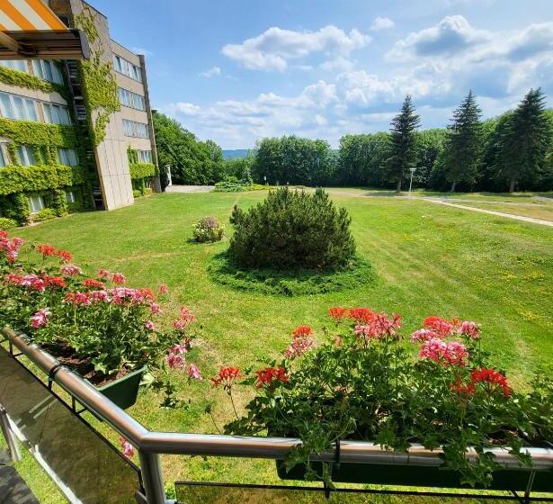 Harz Hotel Vogelberg