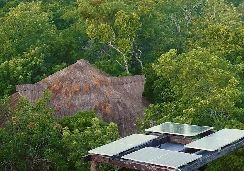 Hotelli Treehouse Tulum H2ojos