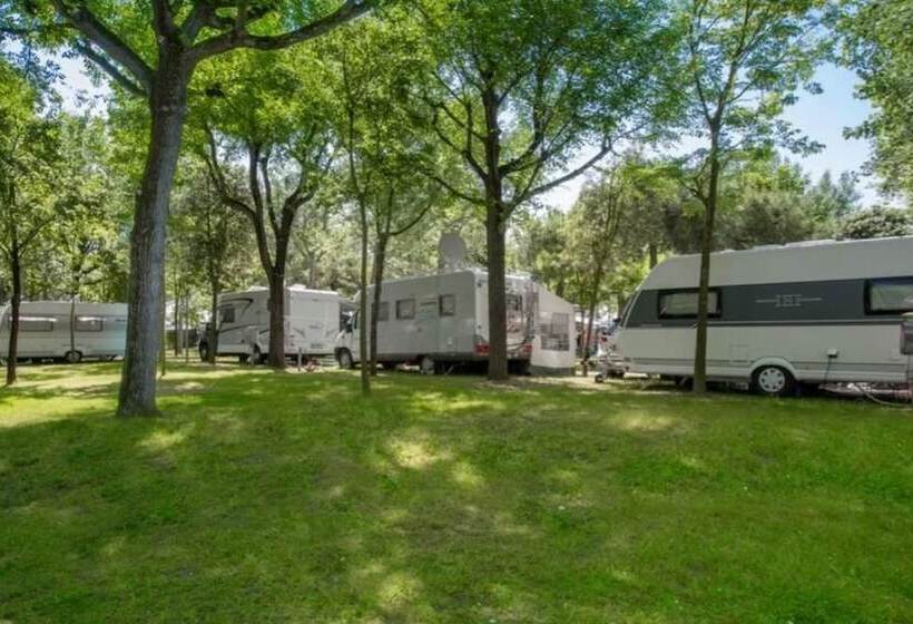 ホテル New Village Europe