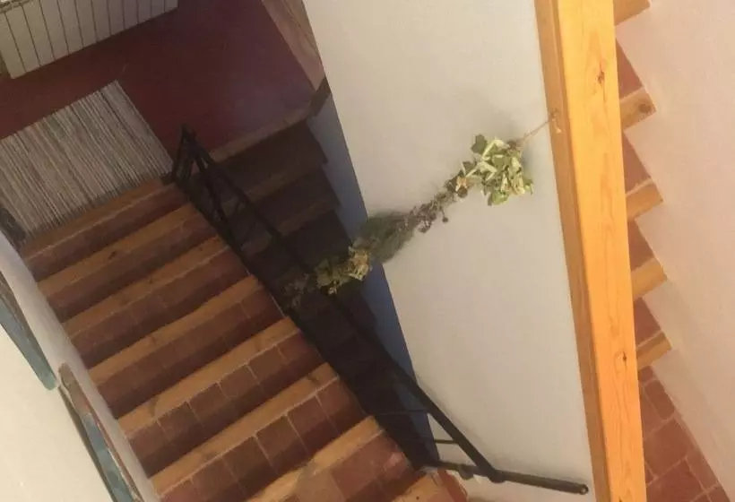 ホテル Vi L Art Wine Lodge   Only Adults