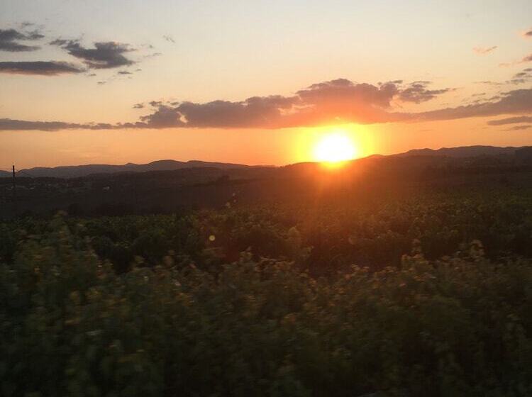 酒店 Vi L Art Wine Lodge Only Adults