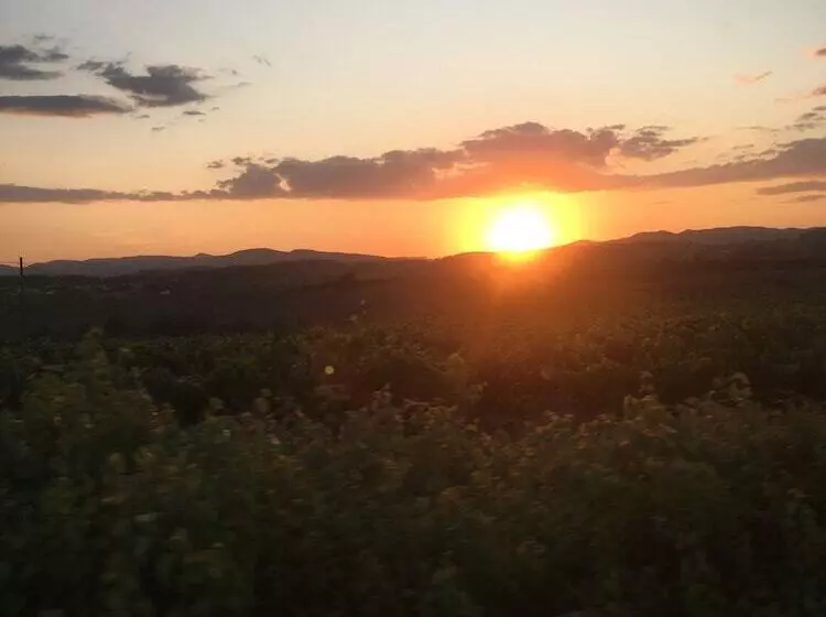 ホテル Vi L Art Wine Lodge   Only Adults