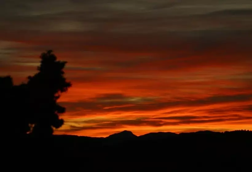 ホテル Vi L Art Wine Lodge   Only Adults