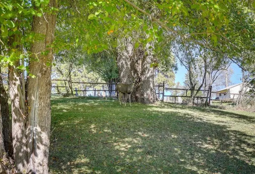 Lead Hideaway W/ Fireplace, Grill & Deck!