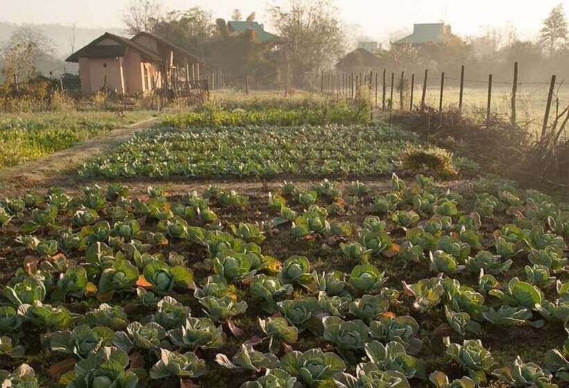 Отель Corbett Life Resort