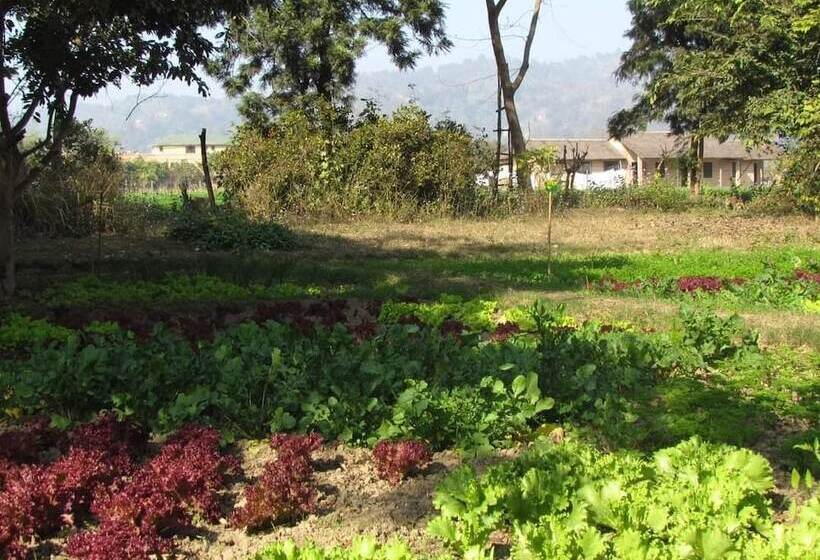 Отель Corbett Life Resort