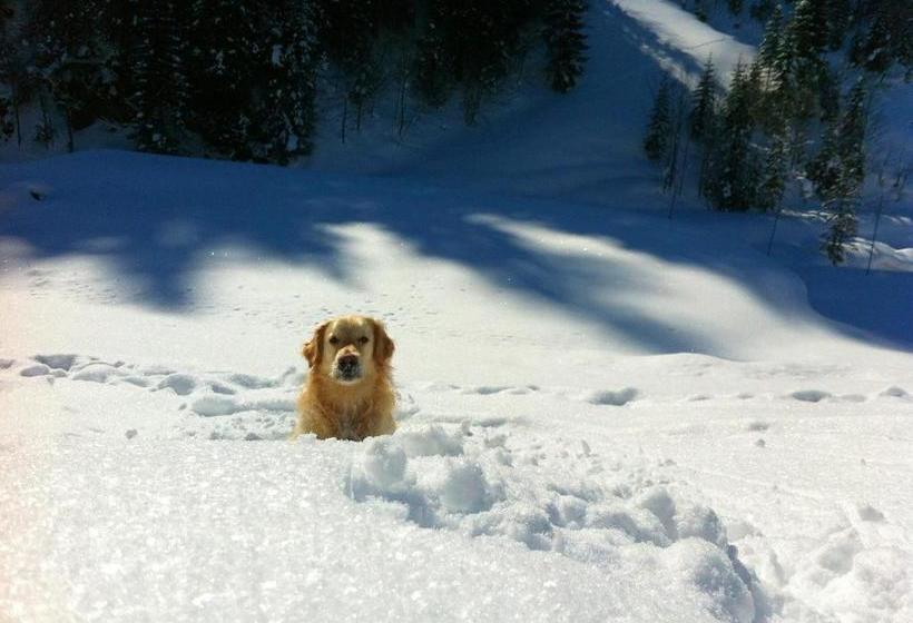 Otel Alpina Appartements