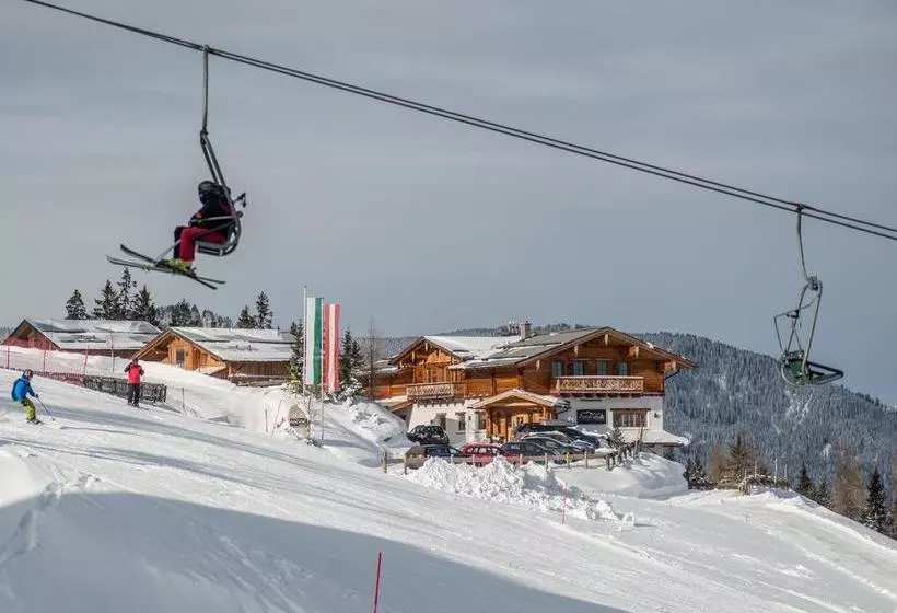 Hotel Alpine-lodge