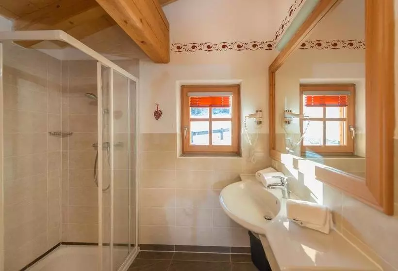 Hotel Alpine-lodge
