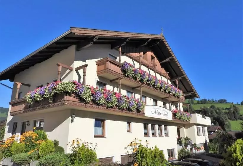 هتل Apartment Alpenhof Wildschönau