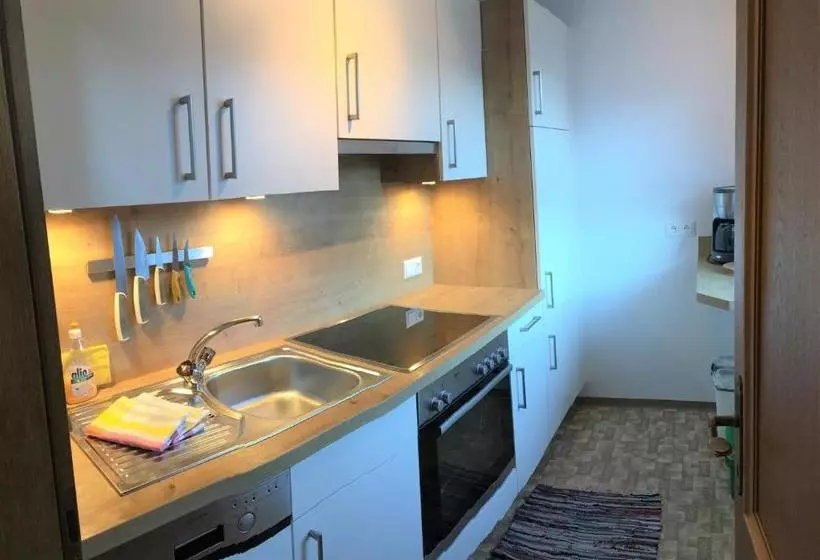 هتل Apartment Alpenhof Wildschönau