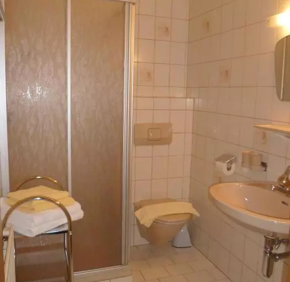 هتل Apartment Alpenhof Wildschönau