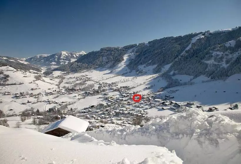 هتل Apartment Alpenhof Wildschönau