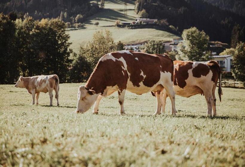 Hotel Appartements Wieshof