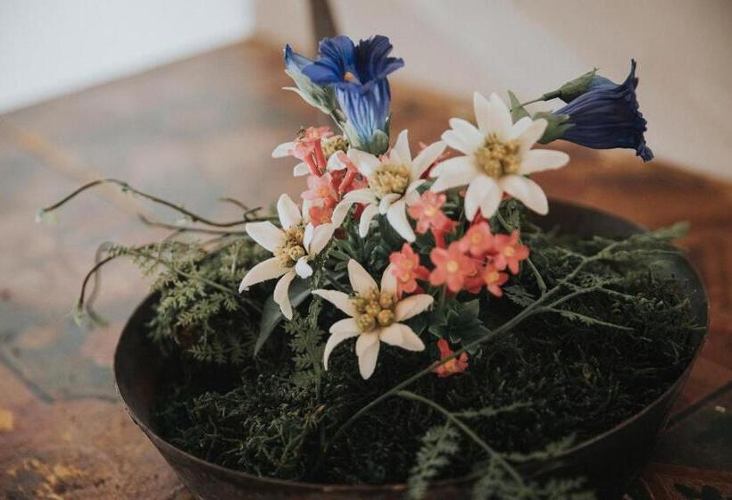 Hotel Appartements Wieshof