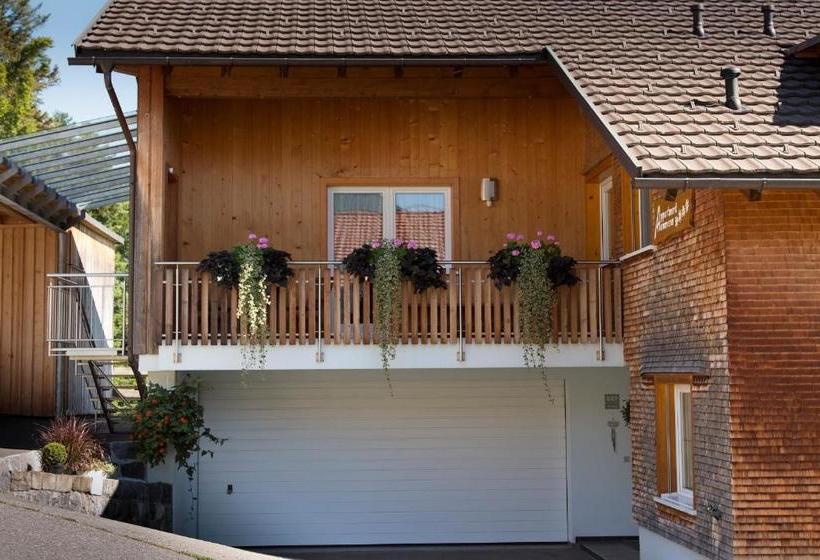 酒店 Appartment Hammerer