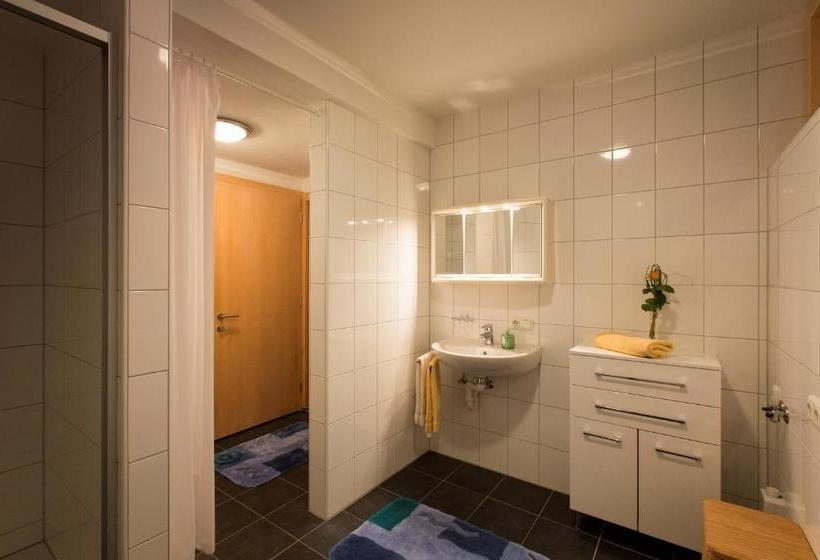 酒店 Appartment Hammerer