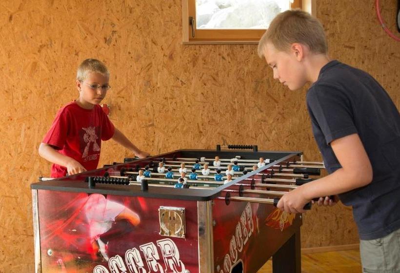 酒店 Appartment Hammerer