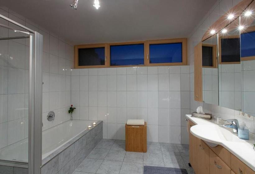 酒店 Appartment Hammerer