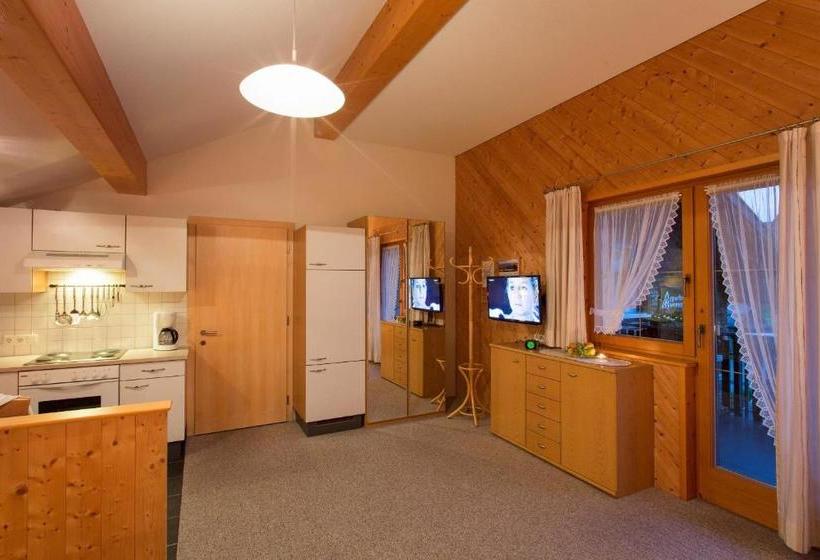 酒店 Appartment Hammerer