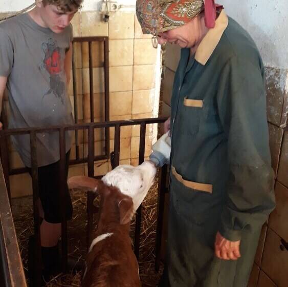 ホテル Bauernhof Waira