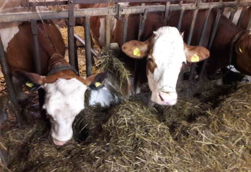 ホテル Bauernhof Waira