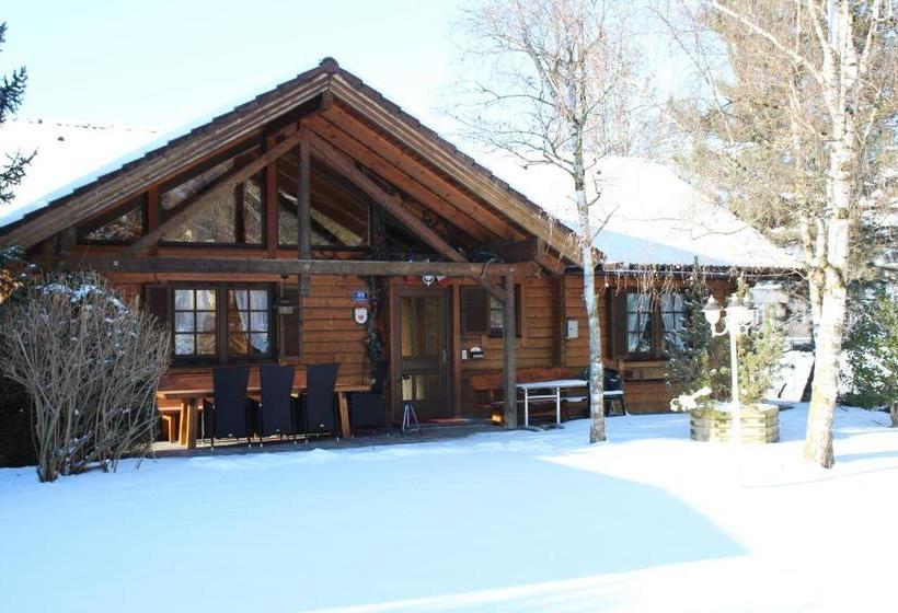 Отель Chalet Dietrich