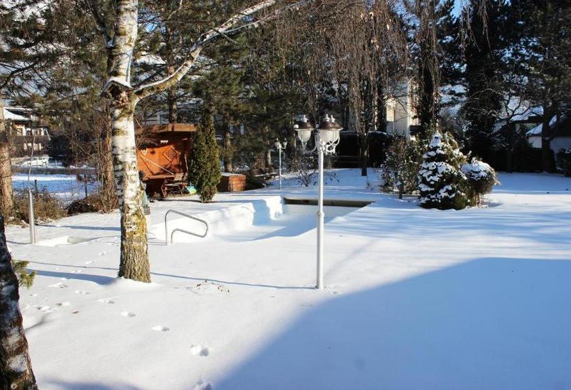 Отель Chalet Dietrich