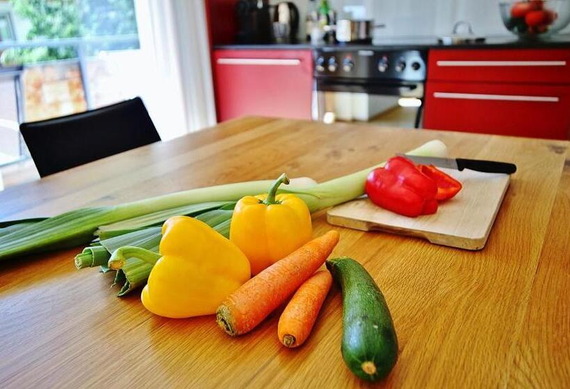 Szálloda Elite Alpine Lodge Apart & Breakfast