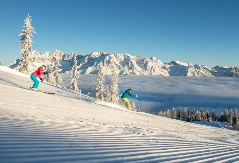 فندق Haus Alpina