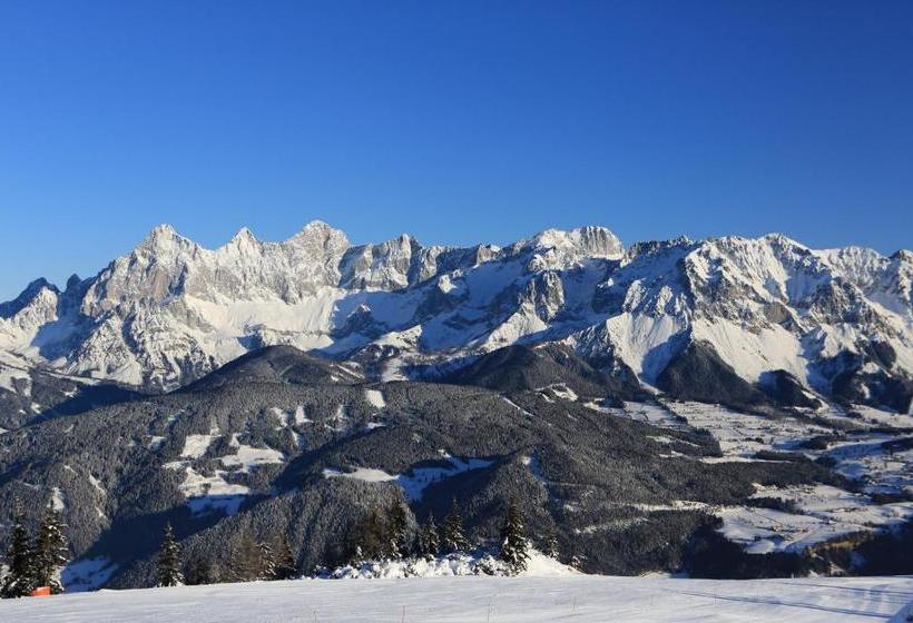 فندق Haus Alpina