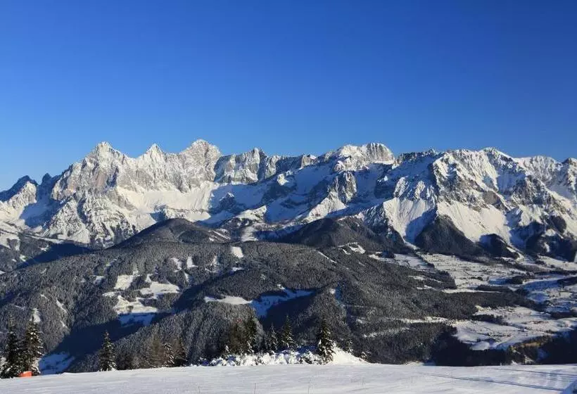 Hotelli Haus Alpina
