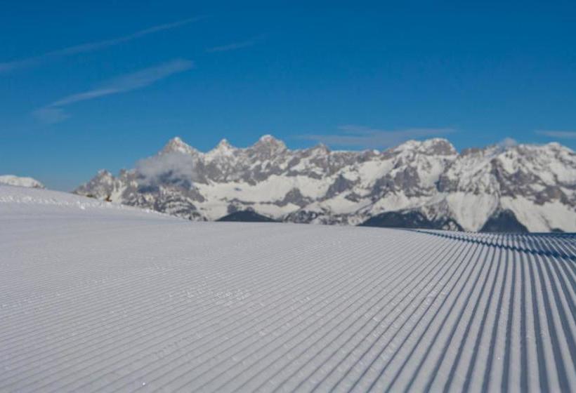 فندق Haus Alpina