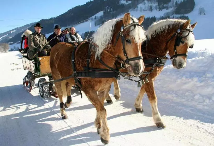 Hotelli Haus Alpina