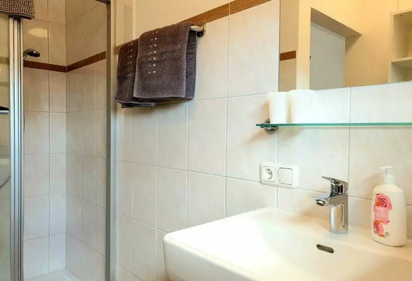 ホテル Haus Hoellerer  Doppelzimmer