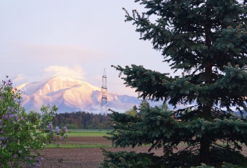 ホテル Landhaus Noreia