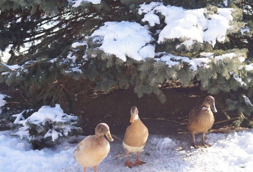 ホテル Landhaus Noreia